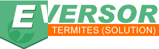 Eversor Logo